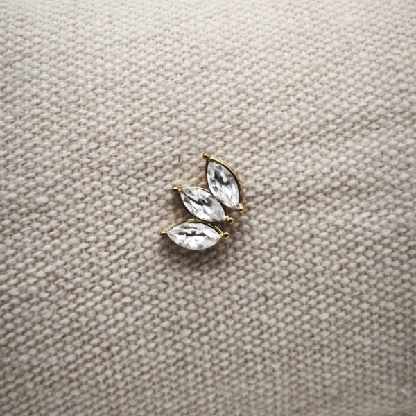 Piercing " Folhagem"