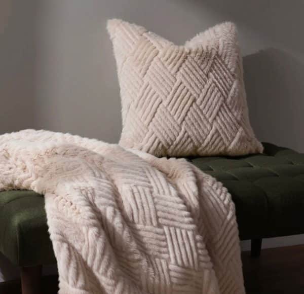 WhatsApp Image 2025-12-22 at 00.21.05